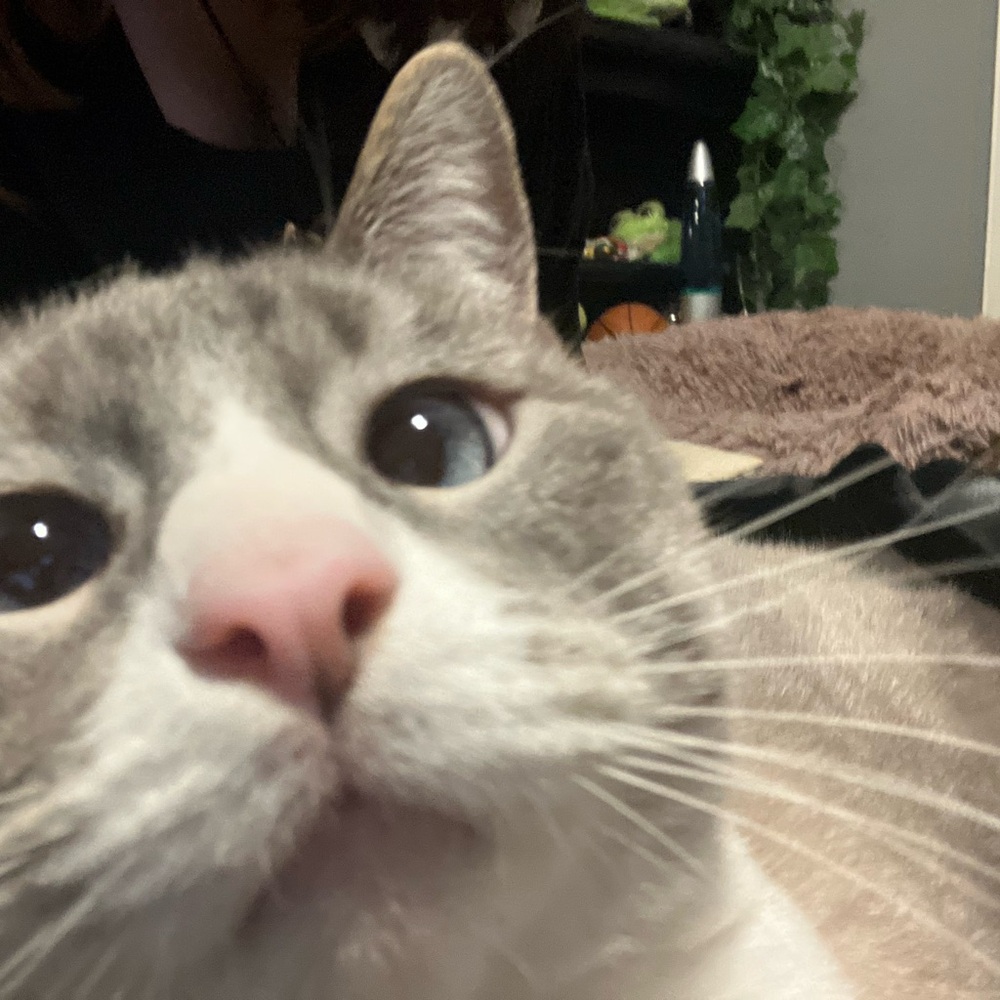 Hello there! - Picture 3 of 11